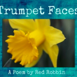 trumpet faces, original poetry, how to write a poem