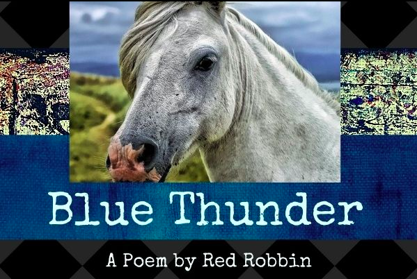 ‘Blue Thunder’ – A Poem By Red Robbin