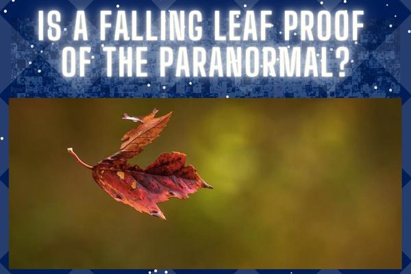 Does A Falling Leaf Offer Psychic Proof?  A Caulbearer Knows