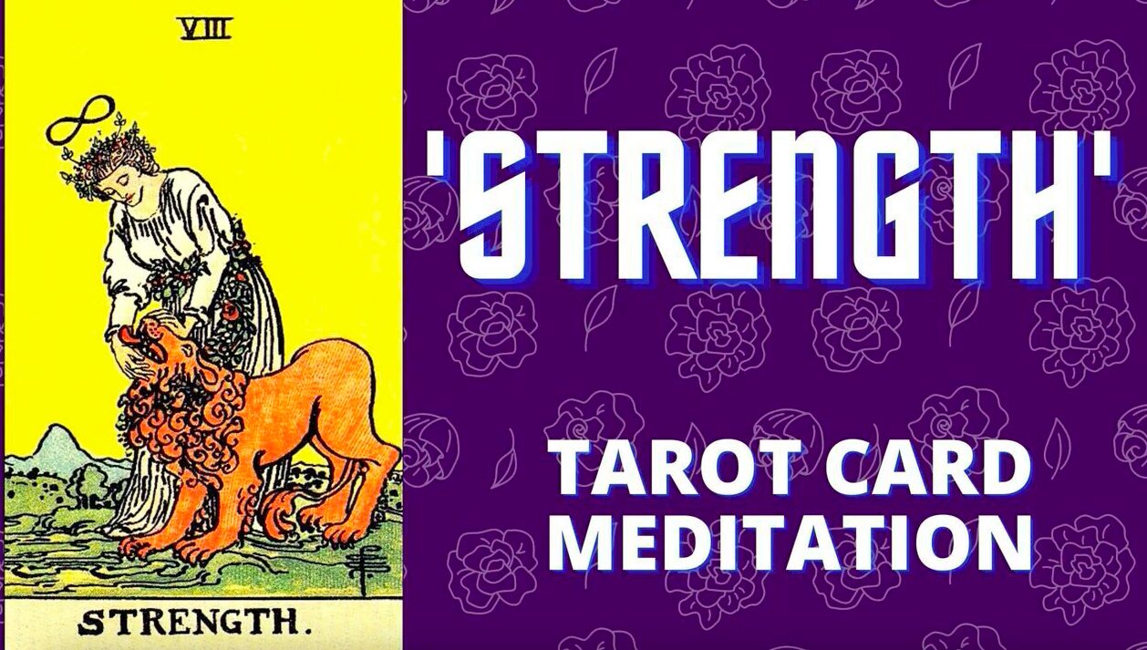 the strength card meditation the meaning of the major arcana in tarot