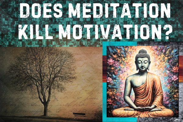 does meditation kill motivation, reddit meditator