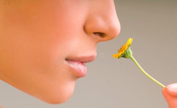 nadi shodhana, mind body spirit, balance, life energy, alternative therapy, holistic therapist, alternate nose breathing technique